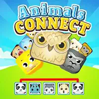animals_connect ហ្គេម
