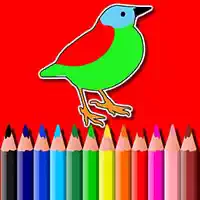 Libro Para Colorear De Pájaros Bts