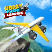 crazy_plane_landing Oyunlar