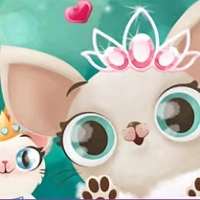 hollywood_fashion_pets Spiele