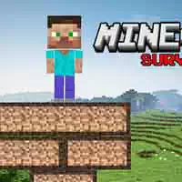 mine_survival 游戏