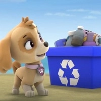 Paw Patrol Pulizia Della Spiaggia