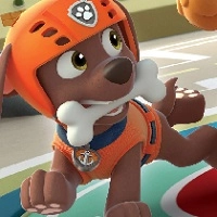 paw_patrol_zuma Jocuri