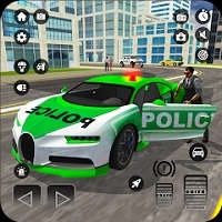 police_chase_real_cop_driver Тоглоомууд