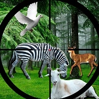 real_jungle_animals_hunting Ойындар