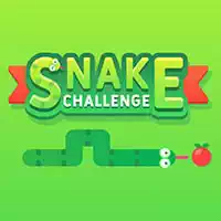 Wyzwanie Węża zrzut ekranu gry