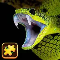 snake_puzzle_challenge Jogos
