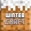 winter_craft રમતો