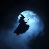 witch_flight เกม